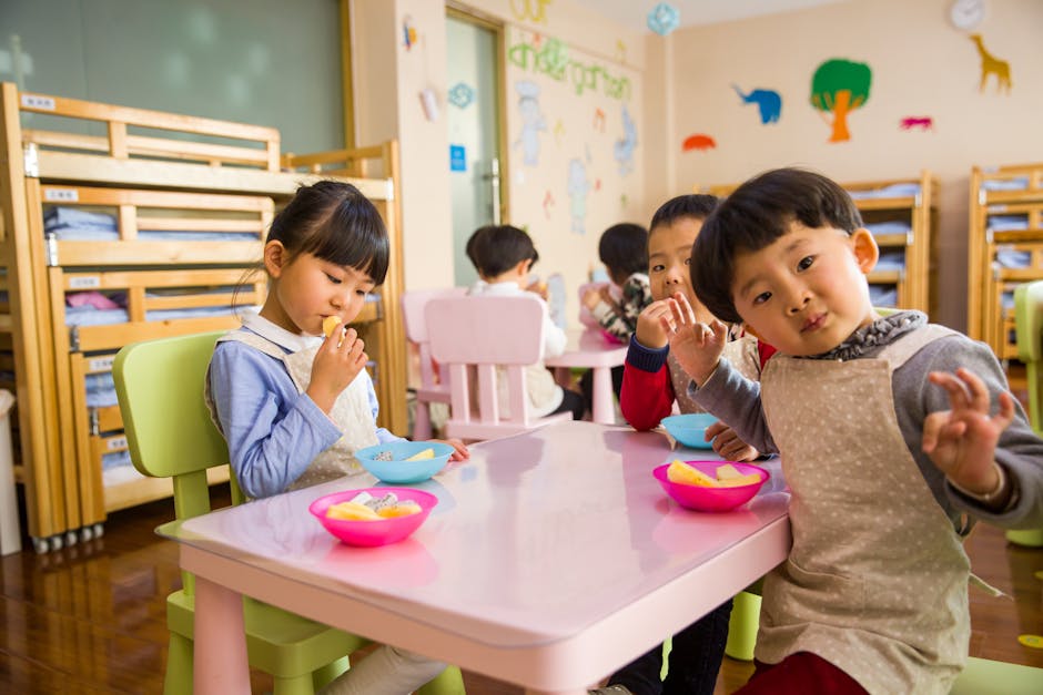 こども家庭庁の制度：2025年子の育て方サポートについて